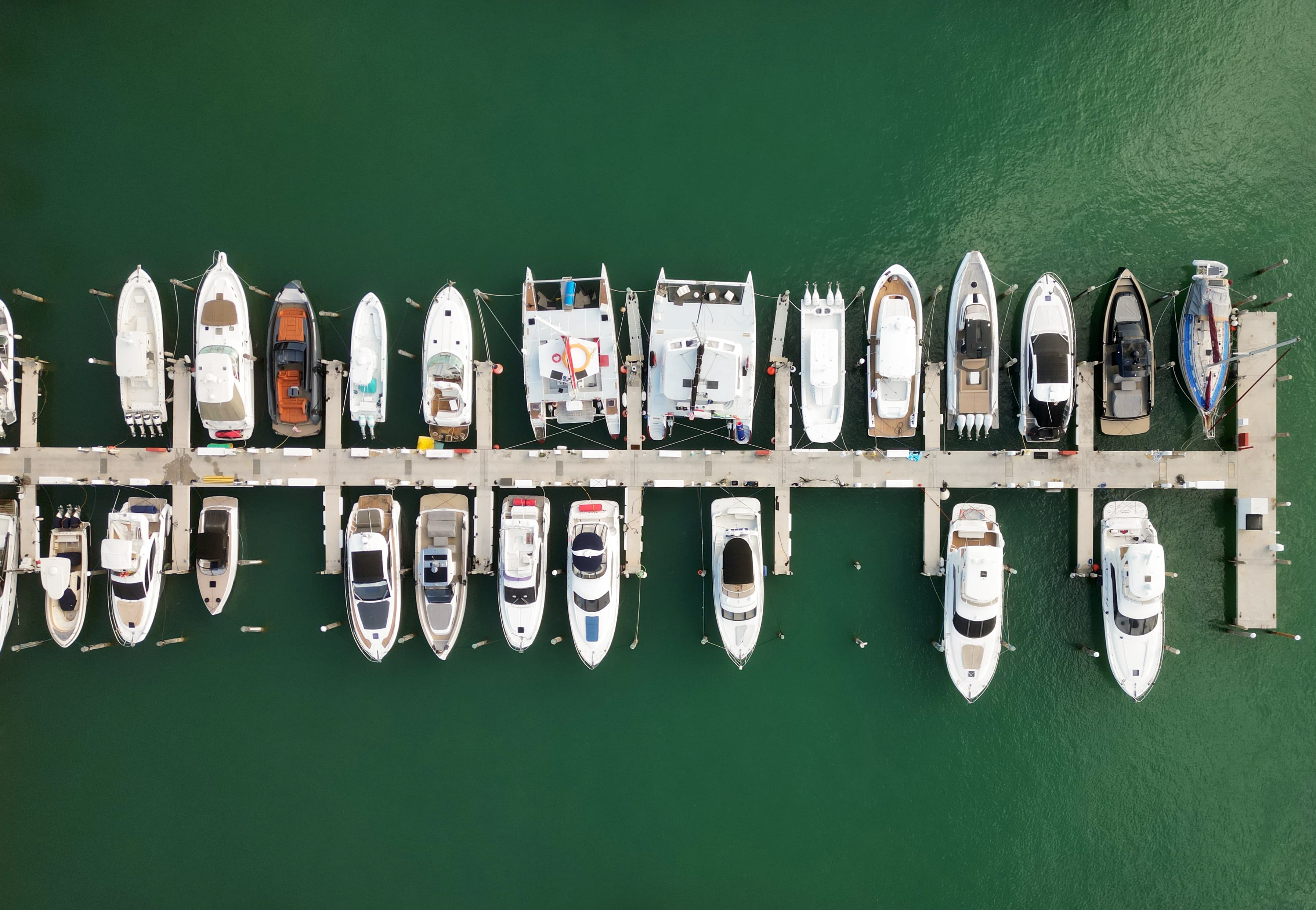 A row of outboard boat engines