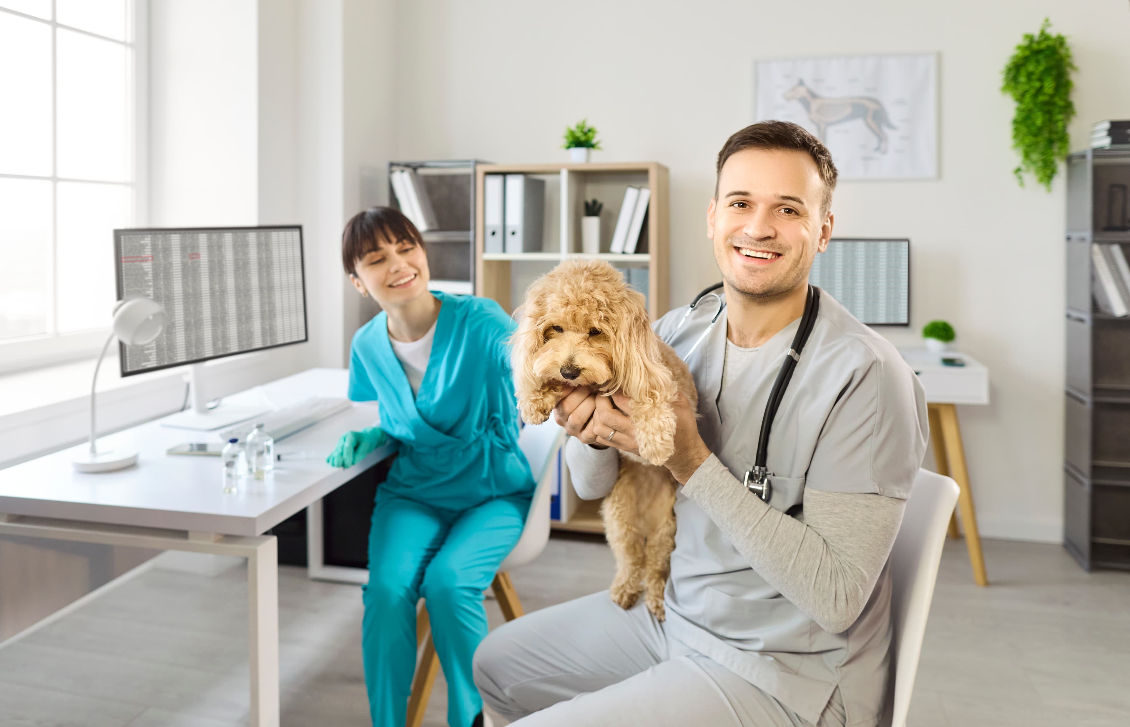 A veterinary care team reviewing patient records