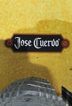 Jose Cuervo eyes metaverse tequila distillery 