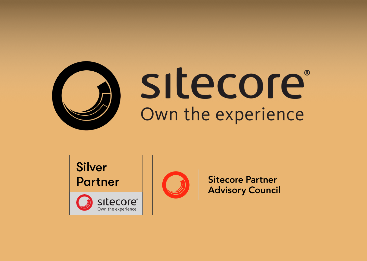 Photon’s global partnership with Sitecore 